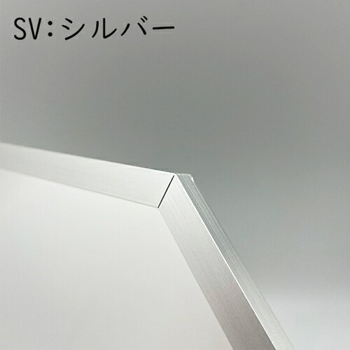 パラデック ウォールミラー オクタム 八角ミラー L(シルバー) OCM-37SV [OCM37SV] [3]