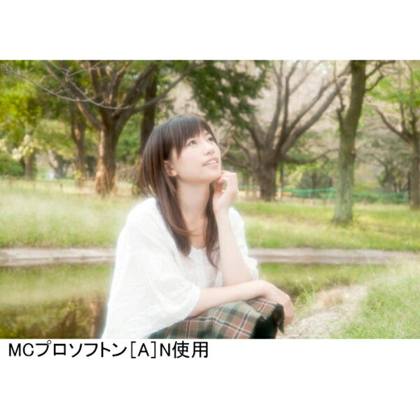 MC PRO ソフトンA N 58S ケンコー MC プロソフトン[A]N 効果弱タイプ 58mm