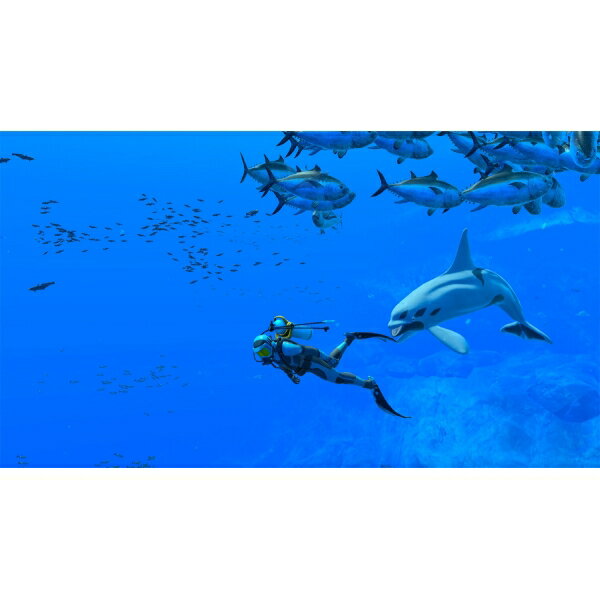 任天堂 【Switch】フォーエバーブルー ルミナス [HAC-R-A7LKA NSW フォ-エバ-ブル- ルミナス]