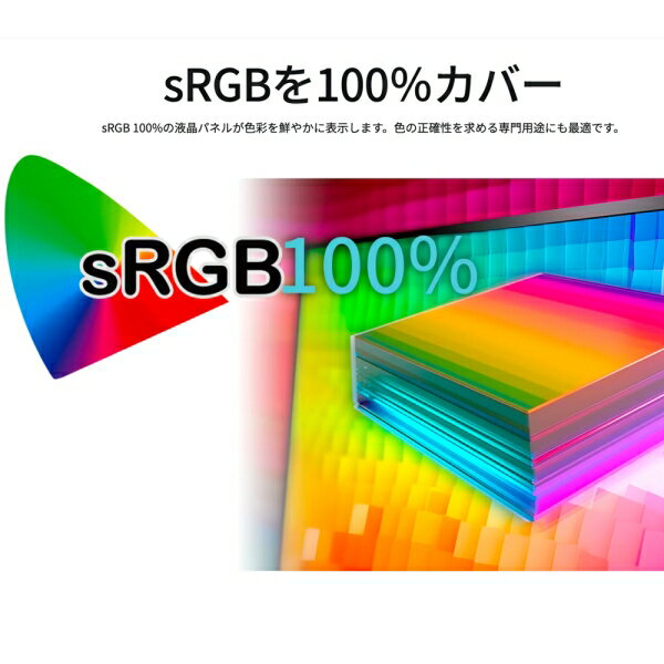 JAPANNEXT｜ジャパンネクスト 液晶ディスプレイ(29型/IPS/WFHD 2560×1080/100Hz/5ms/HDR10/HDMI1.4/DP1.2/USB Type-C/VESA)(ブラック) JN-IPS291WFHDR-C65W