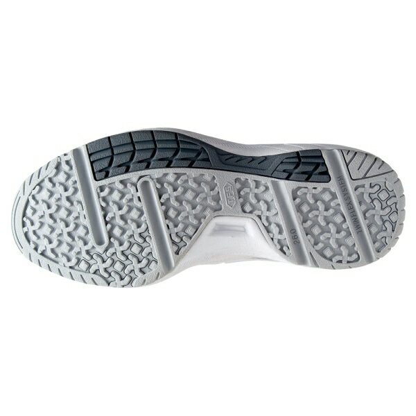 グリッパー グラウンド・通学履き アサヒグリッパー38（ホワイト/ブルー・サイズ：29.0cm） AGP38WH/BL290 スニーカー