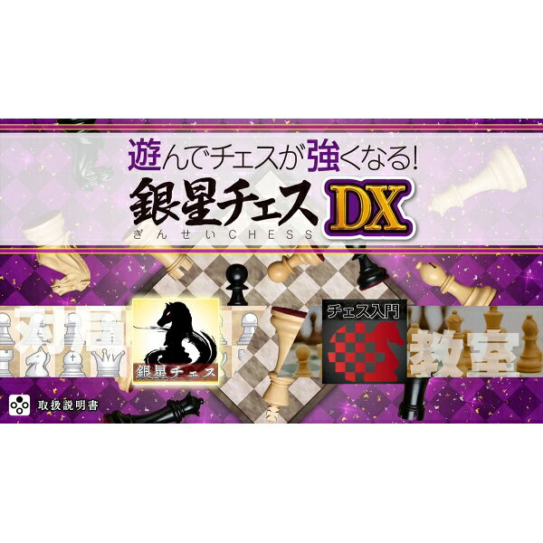 Joshin web 家電とPCの大型専門店のシルバースタージャパン 【Switch】遊んでチェスが強くなる！銀星チェスDX [HAC-P-BGMZA NSW ギンセイチェスDX]｜アングル2