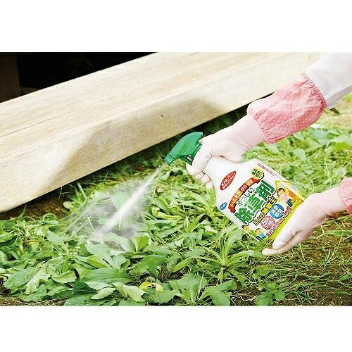 カダン虫よけ除草王1000ml フマキラー カダンムシヨケジヨソウオウ1000