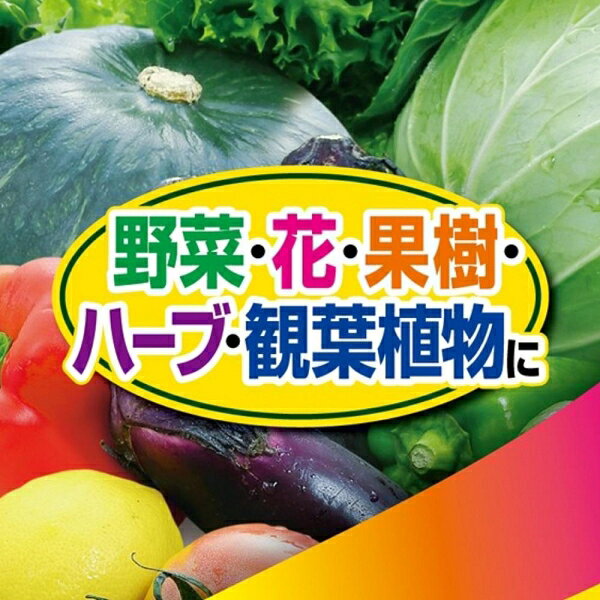 カダンお酢でまもる1000ml フマキラー カダンオスデマモル1000