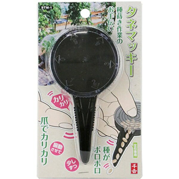 ��� ���ͥޥå��� STM-1