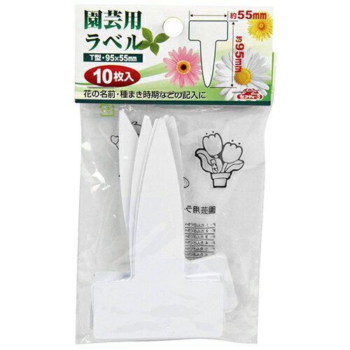 ���եƥ�-3 ����ѥ�٥� T��10����(��) ���󥲥���٥�T����10P����