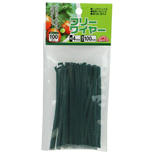 ���եƥ�-3 �ե꡼�磻�䡼100����(10cm) �ե�-�磻��-10CM