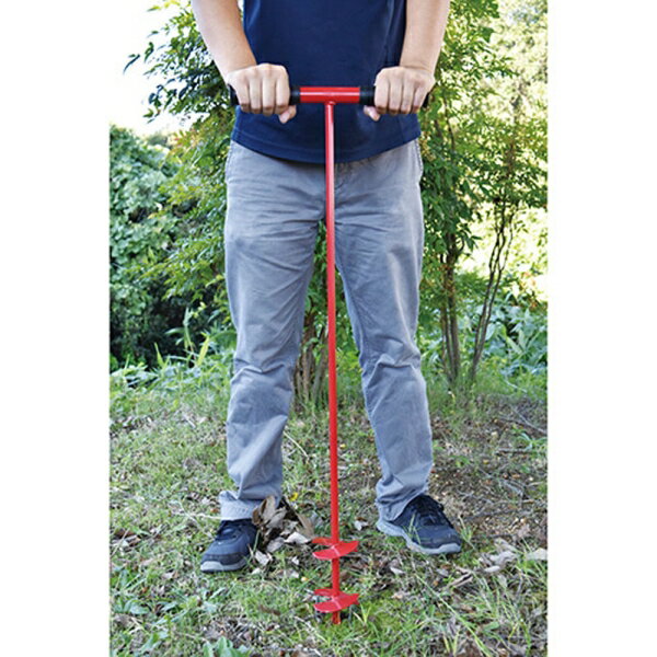 ��� ����ѷ귡���(50mm) ���󥲥��襦���ʥۥꥭ50MM