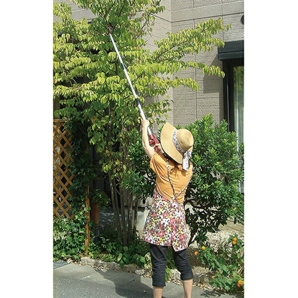 Joshin web 家電とPCの大型専門店の千吉 三段伸縮高枝切鋏(1500mm) SGLP-12｜アングル3