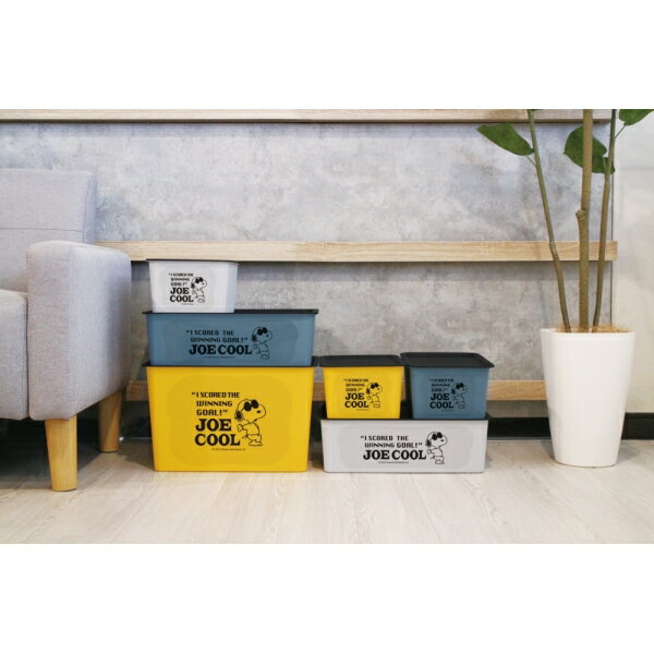 錦化成 コレクトBOX(L) ジョークール スヌーピー(ダークイエロー) コレクトBOXDYE [コレクトBOXDYE]