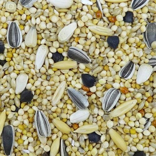 小鳥の主食 エクセル5 中型インコ皮付き 45...の紹介画像2