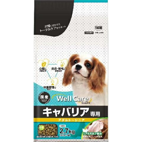ウェルケア　キャバリア専用　アダルト〜シニア 2.7kg(900g×3袋) イースター ウエルCキヤバリアアダルト2.7K jism-14962326 Joshin web 家電とPCの大型専門店 サンプル画像2