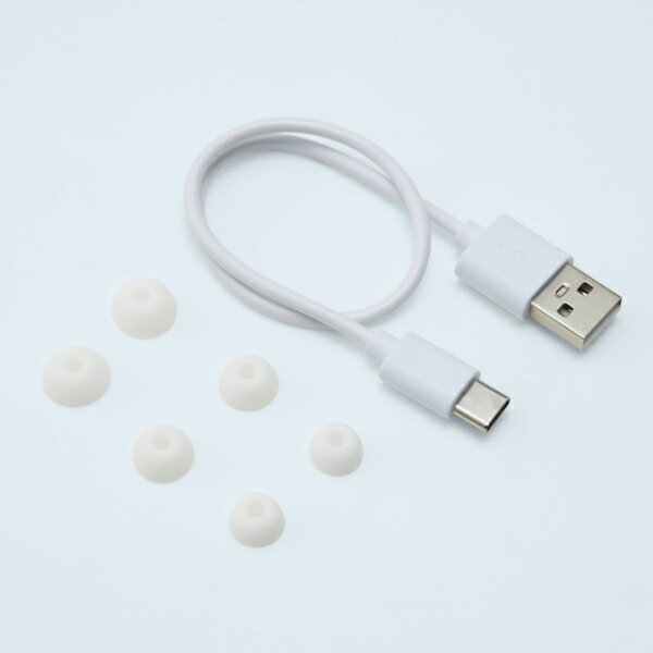 ラディウス 完全ワイヤレス Bluetooth...の紹介画像2