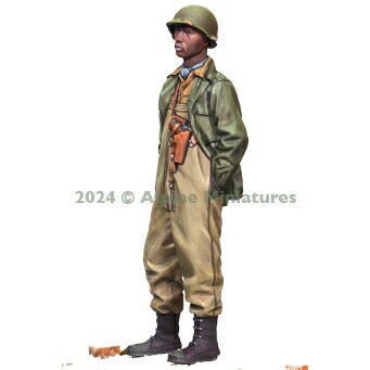 ����ѥ��� 1/35 WWII ����ꥫΦ�� ��761����������ʼ#1��AM35318�� �쥸�����ե����奢