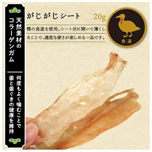 サンプル画像2