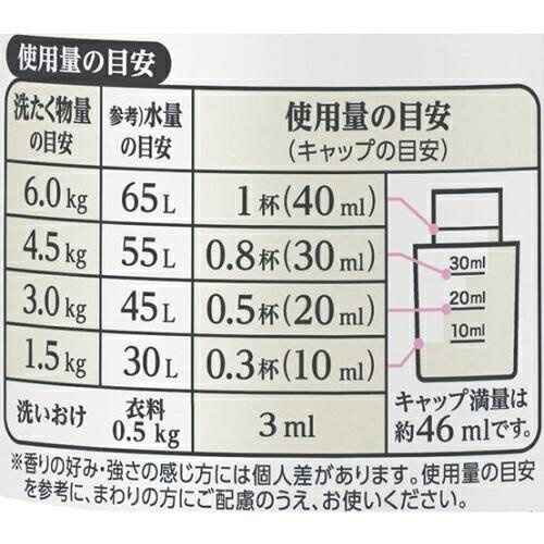 IROKA ネイキッドリリー スパウト 650ml 花王 IROKAネイキツド スパ650ML