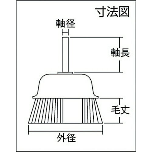 �ȥ饹���滳 ���ե��åץ֥饷 ��50�߼�6 ���� ����0.3 TB-6622 �ȥ饹���滳