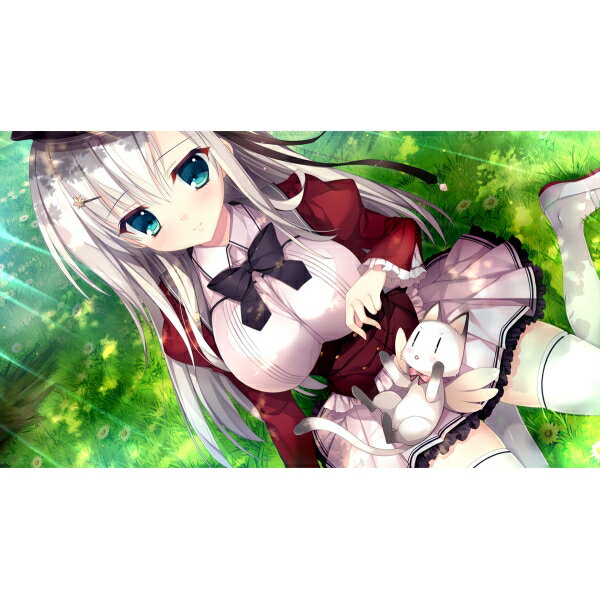 エンターグラム 【Switch】白恋サクラ*グラム　通常版 [HAC-P-BLBYA NSW シロコイサクラグラム ツウジョウ]