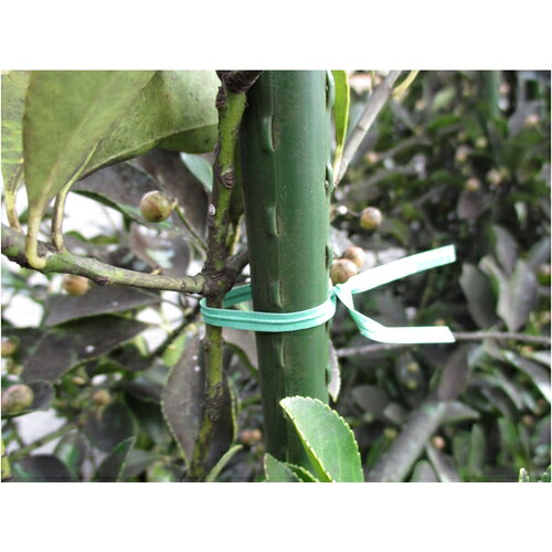 �ȥ饹���滳 ����ѥڡ��ѡ����� ��4mm��Ĺ��200mm �� 100���� PVT200-100 �ȥ饹���滳