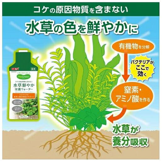 MeGreen 水草鮮やか栄養ウォーター 300ml ジェックス ミズクサエイヨウウオ-タ-300ML