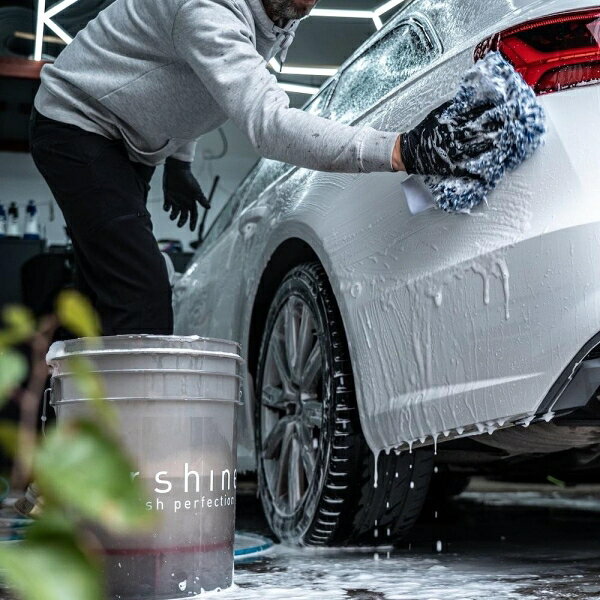 Wash Mitt ウォッシュミット tershine 16070(TERSHINE)