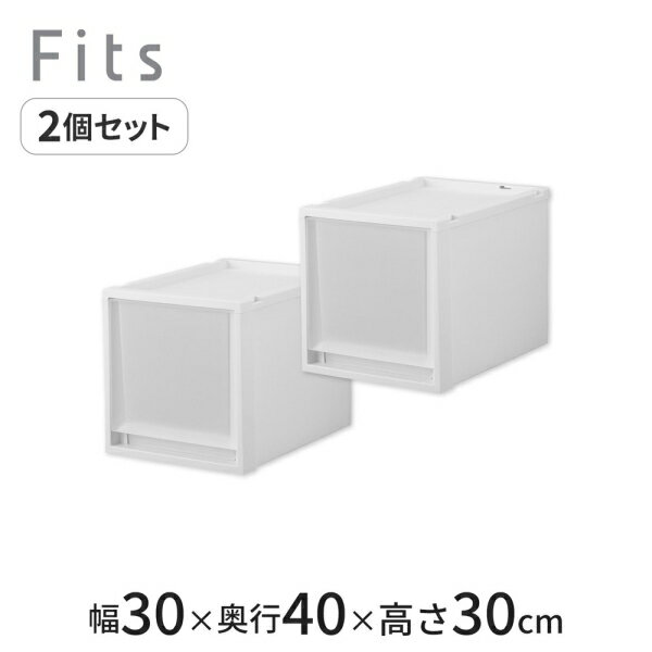 天馬 【2個組】フィッツケース マルチ 幅30×奥行40×高さ30cm（ホワイトクリア） 40...