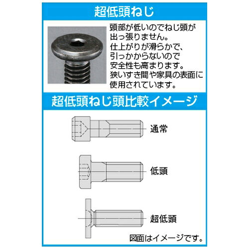 エスコ M5×12 六角穴付ボルト(超低頭/小径/生地/2本) EA949JJ-512 ESCO