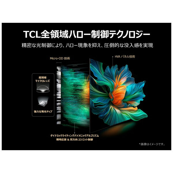 ��ɸ����������_A���ꥢ�Τߡ�TCL 55V�� Mini LED�վ��ƥ�ӡ�BS��CS 4K���塼�ʡ���¢�� 55C6K TCL C6K���꡼�� �ƥ�ӡ�55��