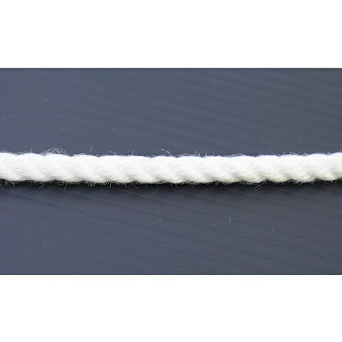 グリーンクロス クレモナSロープ　10mm×50m 6300023904 グリーンクロス