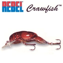 REBEL レーベル Wee-Crawfish ウィークローフィッシュ F76