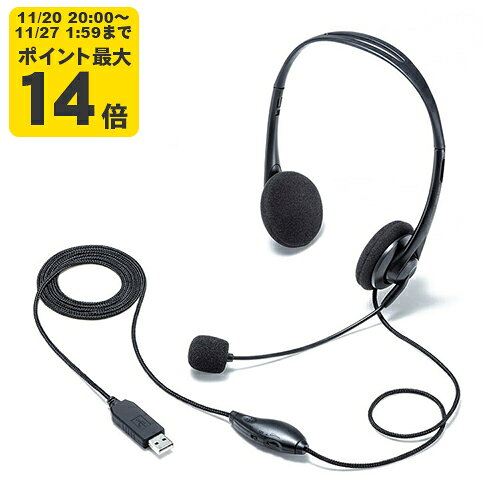 USBヘッドセット[SAN]
