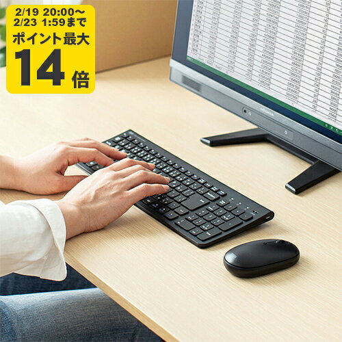 マウス付きワイヤレスキーボード[SAN]