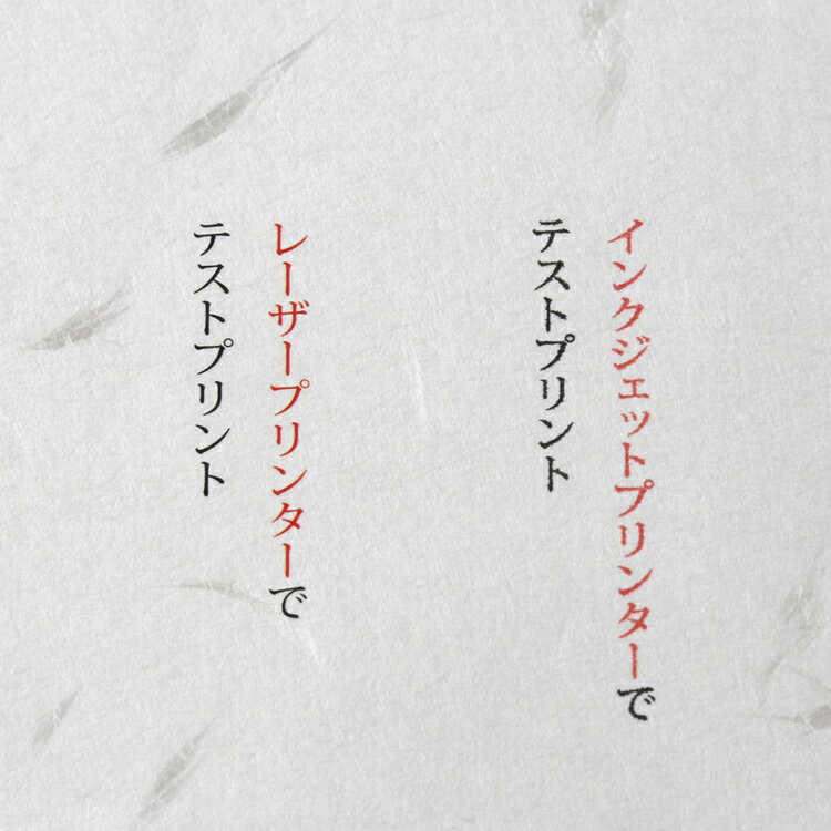 ��ľ����� B5��Ĺ4���� 50���� ���󥯥����å����»����ľ��[ONA]