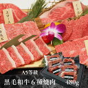 肉セット 黒毛和牛6種 焼肉セット 480g 真空パック各80g 焼肉 食べ比べ 焼き肉セット 2人前 3人前 母の日 父の日 お肉 焼き肉ギフト お肉ギフト ギフト お祝い 誕生日 プレゼント 高級 希少部位 a5等級 焼肉ギフト 牛肉 詰め合わせ 焼肉食べ比べ 焼き肉 送料無料 贈り物 お肉セット 肉