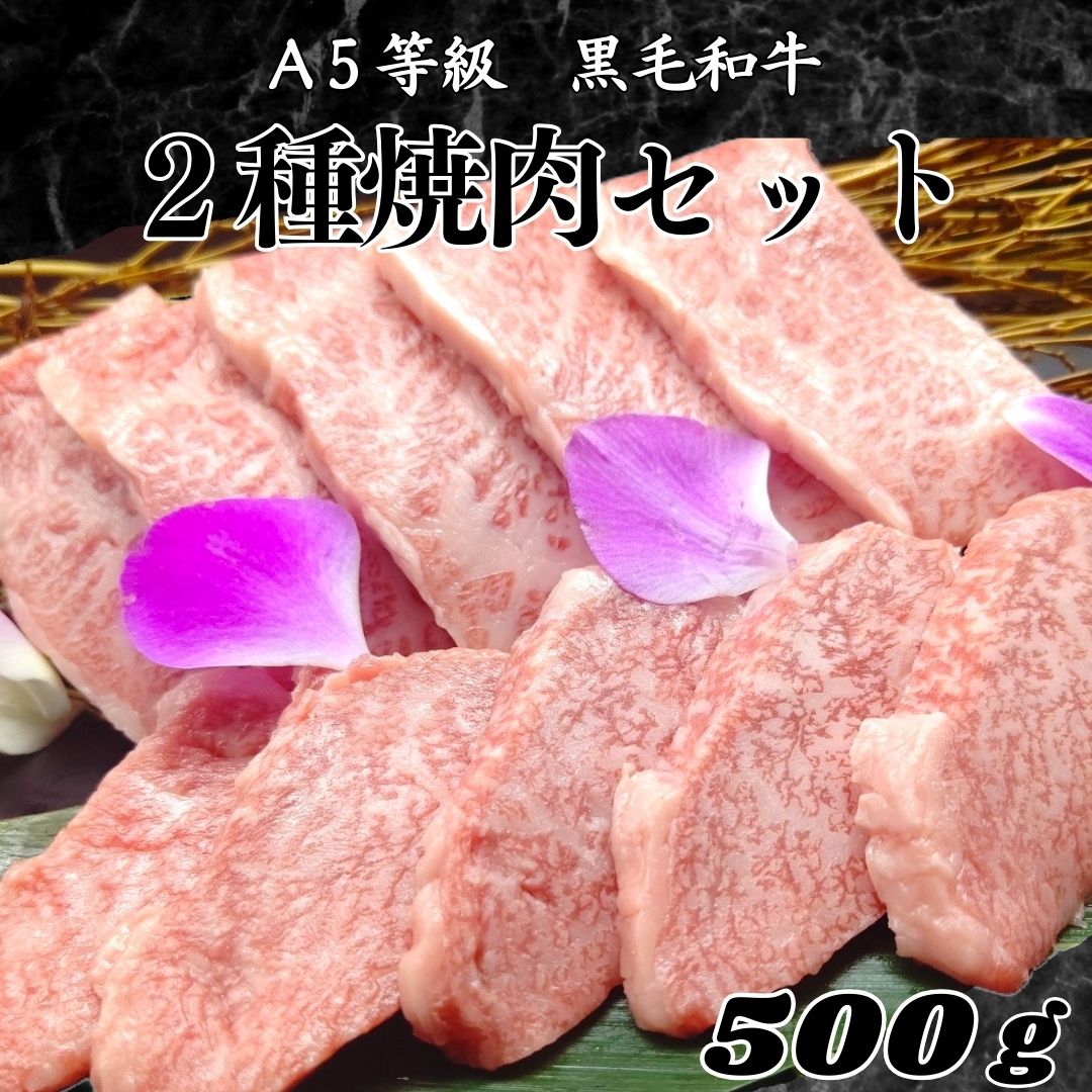 【A5等級 黒毛和牛2種セット】黒毛和牛 上カルビ 上ロース 2種 焼肉 500g 2人前 3人前 父の日 ギフト 肉 お肉 焼き肉ギフト お肉ギフト セット グルメ 送料無料 誕生日 お祝い お肉セット 焼き肉 焼肉セット 高級肉 焼肉ギフト 牛肉 詰め合わせ 焼肉バラ 焼き肉ギフト 贈り物