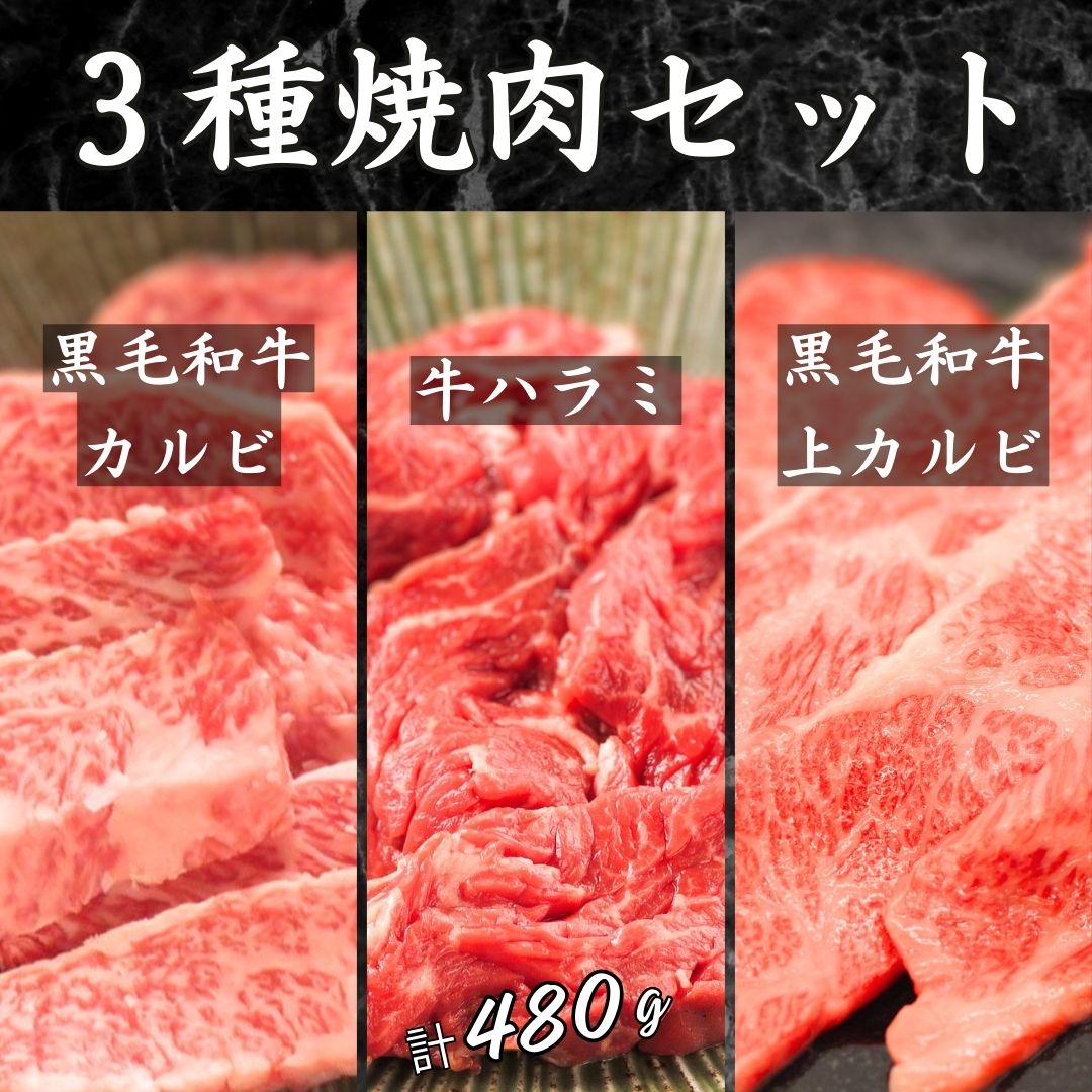 【3種 焼肉セット 黒毛和牛上カルビ/黒毛和牛カルビ/牛ハラミ 計480g】各160g 2人前 3人前 ギフト 肉 お肉 焼き肉ギフト お歳暮 御歳暮 肉 お肉ギフト グルメ セット 誕生日 お祝い 食べ比べ 焼き肉 詰め合わせ 牛肉バラ お肉セット 贈り物 焼肉 焼肉ギフト 牛肉 肉ギフト