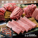 厳選特上 焼肉 6種 セット 600g 小分け真空パック 焼肉セット 3人前 焼き肉ギフト お中元 御中元 お中元ギフト お肉 お肉ギフト 肉 グルメギフト お...