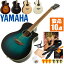 ƥå 鿴ԥå ޥ APX600  (¿10) YAMAHA 쥢