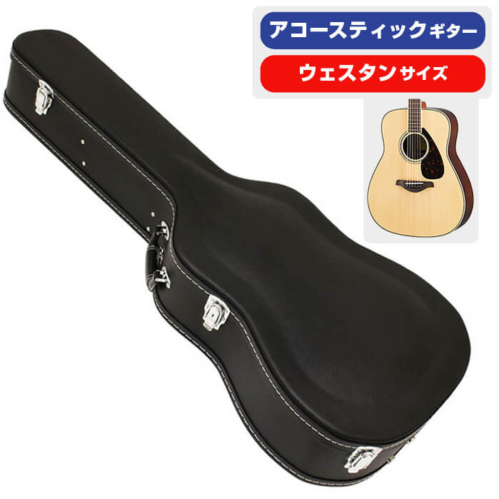 RITTER RGB4-JR for Randy V -ANT(Anthracite)- ランディ V用ギグバッグ[リッター][Case,ケース][Gray,Black,グレー,ブラック,黒][Electric Guitar,エレキギター]