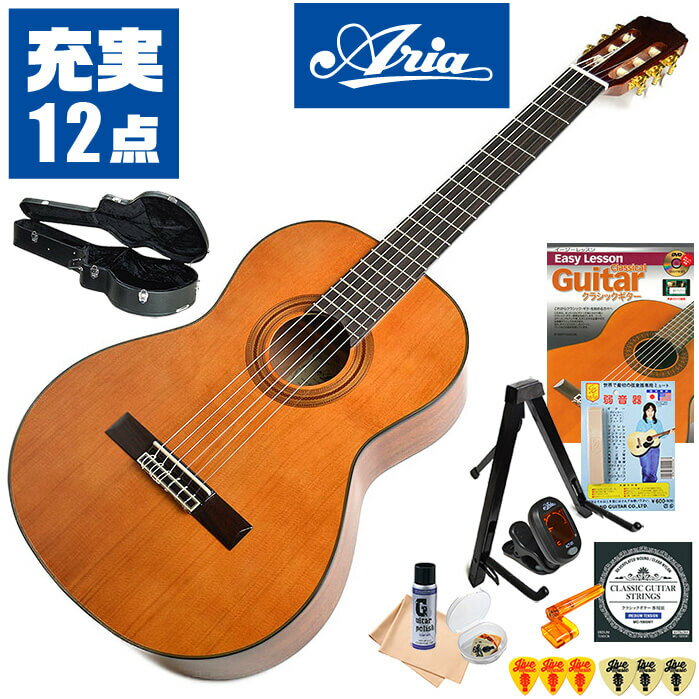 クラシックギター 初心者セット 入門 (ハードケース 充実 12点) ARIA A-20 (アリア シダー材 単板)