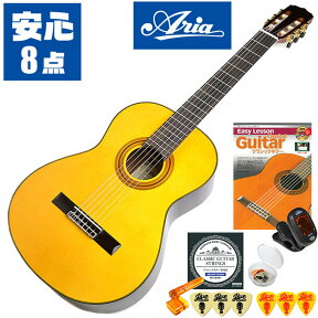 クラシックギター 初心者セット 入門 (安心 8点) ARIA A-30S (アリア スプルース単板/ローズウッド)