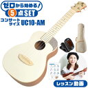 ウクレレ 初心者セット コンサートサイズ aNueNue aNN-UC10 AM アヌエヌエ アーモンドミルク 入門 セット