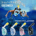 シュノーケルマスク 浸水防止 ダイビングマスク 180°パノラマシービュー フルフェイス型 防曇設計 スポーツカメラ取付可能 水中撮影用 男女兼用 子供用 水中メガネ 海水浴 180度視野 曇り止め GoPro対応 シリコン 超広角