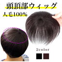 【送料無料】ヘアピース 頭頂部 ウィッグ 人毛100% 自然 つむじ ショート ストレート 通気性 前髪あり 薄毛 脱毛 白髪 部分ウィッグ トップウィッグ か...
