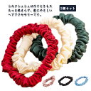 【送料無料】2個セット シルク ヘアゴム シルク シュシュ ヘアゴム 1cm 19匁 抜け毛予防 絡まない 髪にやさしい 跡が付きにくい 絹 ヘアケア 小さめ ...