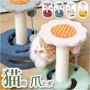 猫 爪とぎ 爪研ぎ 楽天 爪とぎ用品 爪ケア 猫用爪とぎ つめとぎ 猫用品 爪ケア用品 つめとぎ用品 爪研ぎ用品 ペット 爪 お手入れ ネコ ねこ かわいい デ...