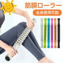 【楽天スーパーSALE限定半額】マッサージスティック 筋膜リリース コ...(4)