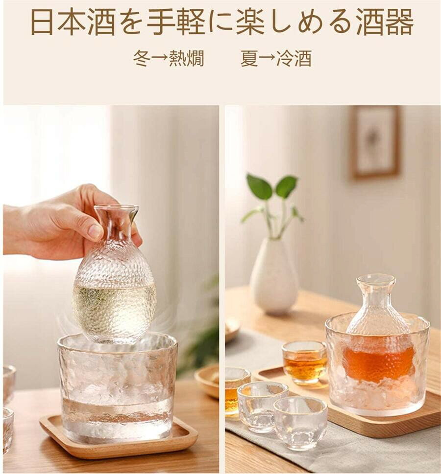 日本酒 酒器セット しょう酒器セット 酒燗器 熱燗 冷酒器 耐熱ガラス 燗瓶 盃 プラ...
