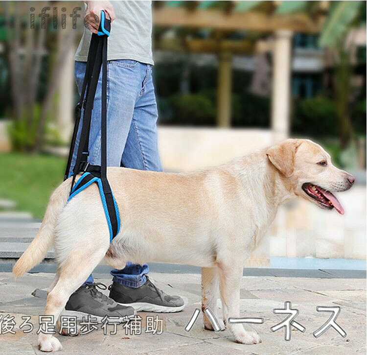 /* css 重置 */ *{margin:0; padding:0; list-style:none; } body{ background:#fff;font-family: "Meiryo UI"!important; } img{ border:0; } a{ text-decoration:none; color:#333; } /*****共通設定*****/ a:link { text-decoration: none; color: #353535; } a:visited { text-decoration: none; color: #353535; } a:hover { text-decoration: underline; color: #353535; } a img:hover { -webkit-opacity: 0.7; -moz-opacity: 0.7; opacity: 0.7; } /* リセット-------------------------- */ #detail p, #detail dl, #detail dt, #detail dd, #detail img, #detail iframe { margin:0; padding:0; border:0; outline:0; font-size:100%; vertical-align:baseline; background:transparent; list-style: none; } #detail i { font-style: normal; } #detail a { opacity: 1; transition: opacity .2s ease; -transition: opacity .2s ease; color: red; text-decoration: none; } #detail a:hover { opacity: 0.8; transition: opacity .2s ease; -transition: opacity .2s ease; text-decoration: underline; } /* コンテンツ -------------------------- */ #detail { width: 720px; box-sizing: border-box; border-left: solid 1px #ddd; border-right: solid 1px #ddd; border-bottom: solid 1px #ddd; font-size: 12px; font-family: ’Lucida Grande’,‘Helvetica Neue’,’Hiragino Kaku Gothic ProN’,‘游ゴシック’,’メイリオ’,meiryo,sans-serif !important; } #detail .title, #detail #detail_left h2, #detail #detail_left > p:first-of-type { background: #F6F6F6; padding: 15px; border-bottom: solid 1px #ddd; border-top: solid 1px #ddd; font-weight: bold; font-size: 12px; margin: 0 0 10px; } #detail .title ~ p, #detail #detail_left h2 ~ p { padding: 20px 20px 20px 20px; } #detail .spec { width: 720px; box-sizing: border-box; overflow: hidden; padding: 0 0 10px; } #detail .spec dt { float: left; clear: left; width: 80px; padding: 20px 0 0 20px; font-weight: bold; } #detail .spec dd { padding: 10px 20px 0 120px; } #detail .spec dd:last-of-type { padding: 10px 20px 10px 120px; } #detail .spec dt + dd { border-top: dotted 1px #ddd; margin: 10px 0 0; } #detail .spec dd:first-of-type { border-top: solid 1px #ddd; } /* ガイド・グレードアップ --------------------------*/ #detail #detail_right h2 { background: #F6F6F6; padding: 15px; border-bottom: solid 1px #ddd; border-top: solid 1px #ddd; font-weight: bold; font-size: 12px; margin: 0 0 10px; } #detail #detail_right h2 br { display: none; } #detail iframe[name="newitem"] { margin: 0 auto; display: block; } #detail p img[src*="detail_ceiling.gif"] { display: block; margin: 0 auto; } #detail #detail_right dt { float: left; clear: left; width: 60px; padding: 20px 0 0 20px; font-weight: bold; } #detail #detail_right dd { padding: 10px 10px 0 100px; } #detail #detail_right dt + dd { margin: 10px 0 0; } #detail #detail_right dd img[src*="detail_pay.gif"] { display: none; } #detail #detail_right dd iframe[src*="cal.html"] { display: none; } 商品ブランド:DogLemi 適用:老犬、怪我をした犬用 歩行補助 注意事項: *出来る限り実物に近いお色にて画像を掲載しておりますが、PCモニターなどの環境等の違いにより若干異なる場合がございます。予めご了承下さい。 *サイズの測定につきましては多少異なる場合がございますので予めご了承ください。 *このペットキャリーバッグはPUレザーで製造され、色褪せしにくくて、汚しても簡単に汚れを取ることができます。