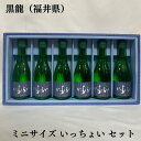 黒龍 こくりゅう 吟醸酒いっちょらい ミニサイズギフトセット 福井県 黒龍酒造 【300ml 6本】［日本酒／エレガントな香り／おススメギフト］ ギフト箱入り